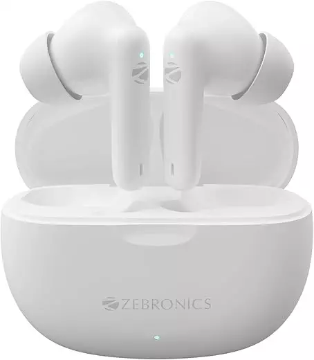 ZEBRONICS Beetles Wireless Earbuds